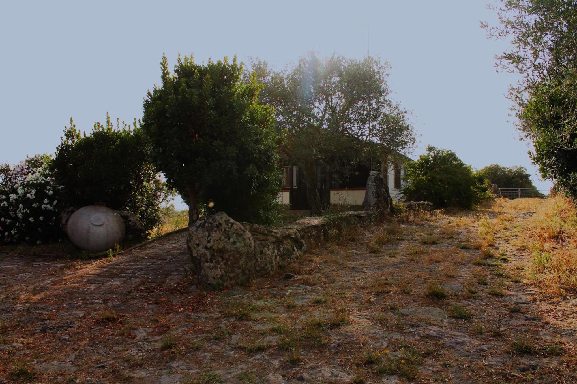 Agriturismo Su Recreu Ittiri Ngoại thất bức ảnh