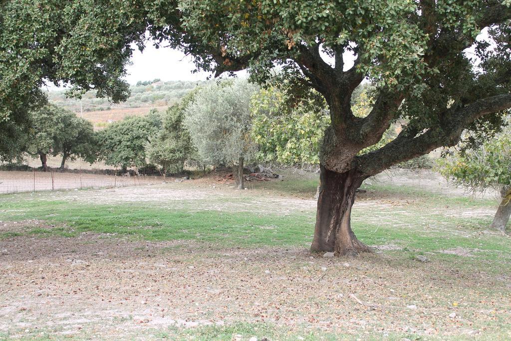 Agriturismo Su Recreu Ittiri Ngoại thất bức ảnh
