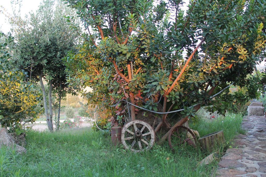 Agriturismo Su Recreu Ittiri Ngoại thất bức ảnh