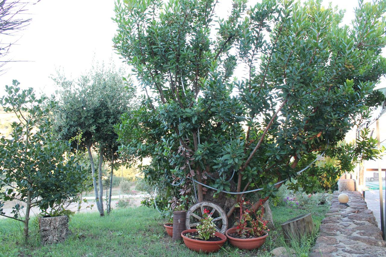 Agriturismo Su Recreu Ittiri Ngoại thất bức ảnh