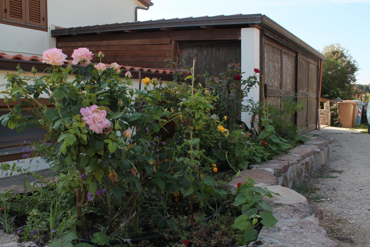 Agriturismo Su Recreu Ittiri Ngoại thất bức ảnh