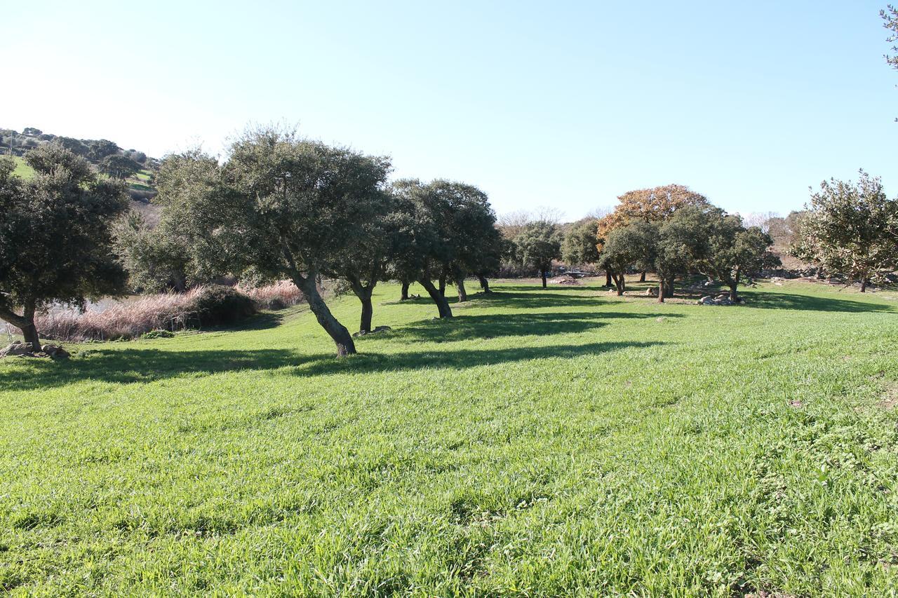 Agriturismo Su Recreu Ittiri Ngoại thất bức ảnh
